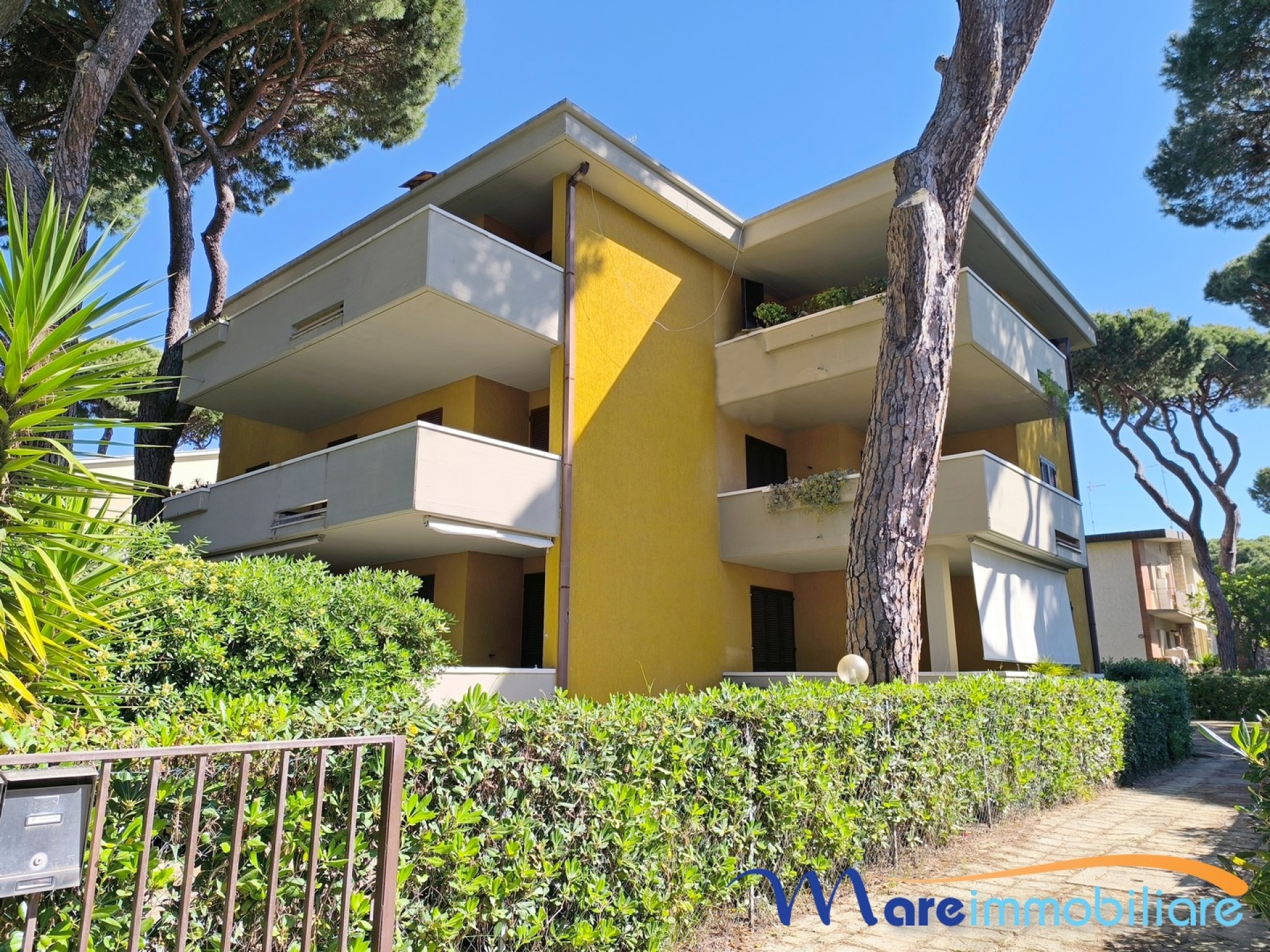 Appartamenti al mare - MARINA DI GROSSETO